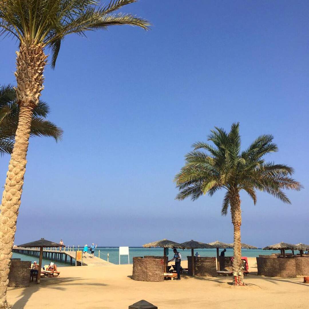Egypt, 2018