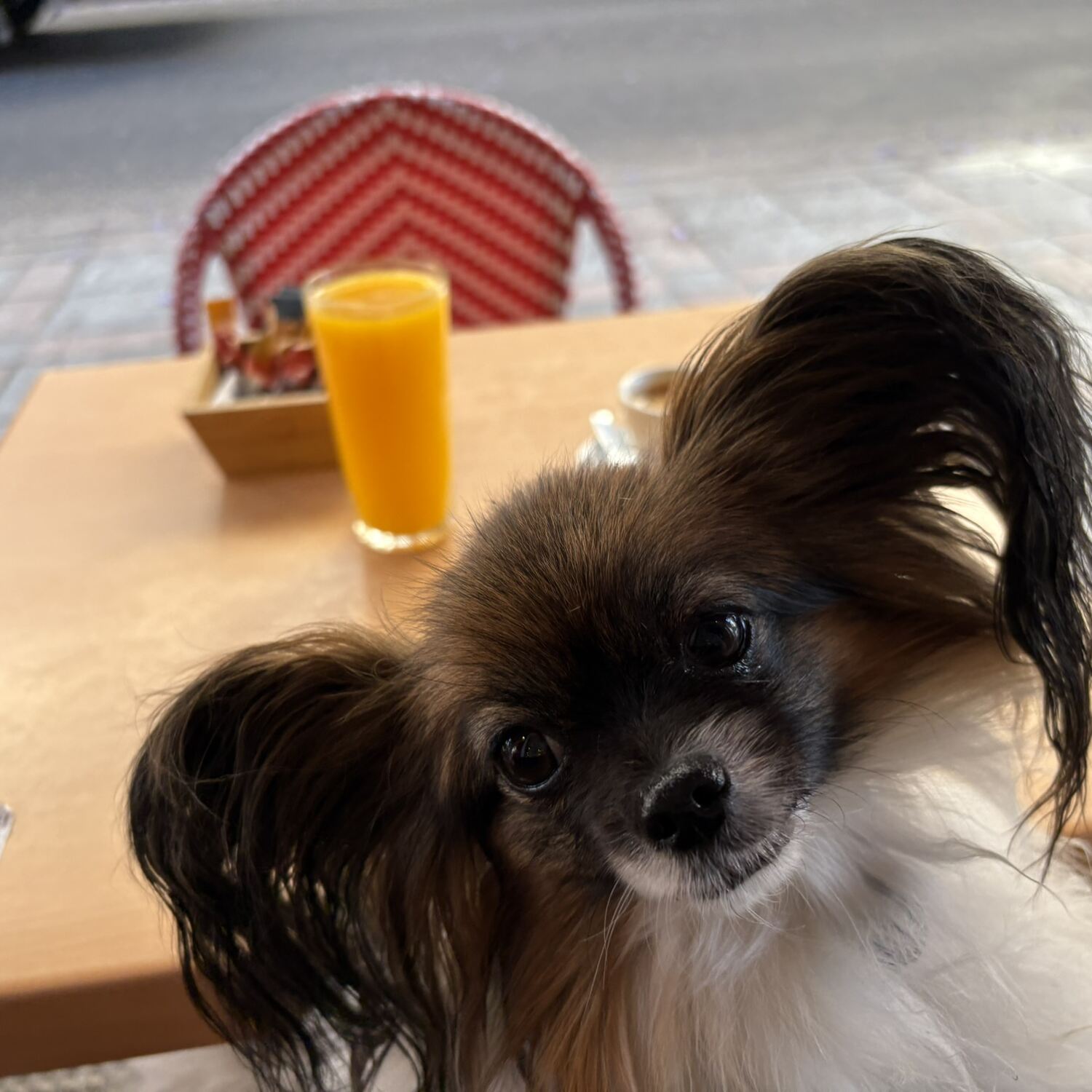 Fuengirola 25