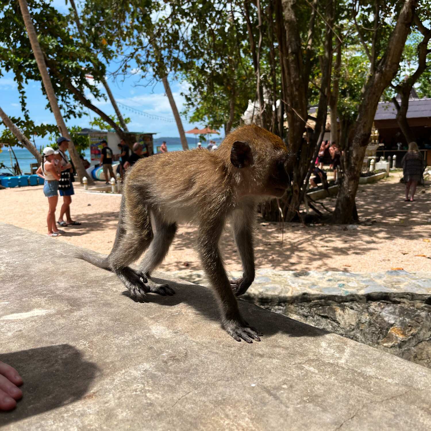 Thailand 25 🇹🇭