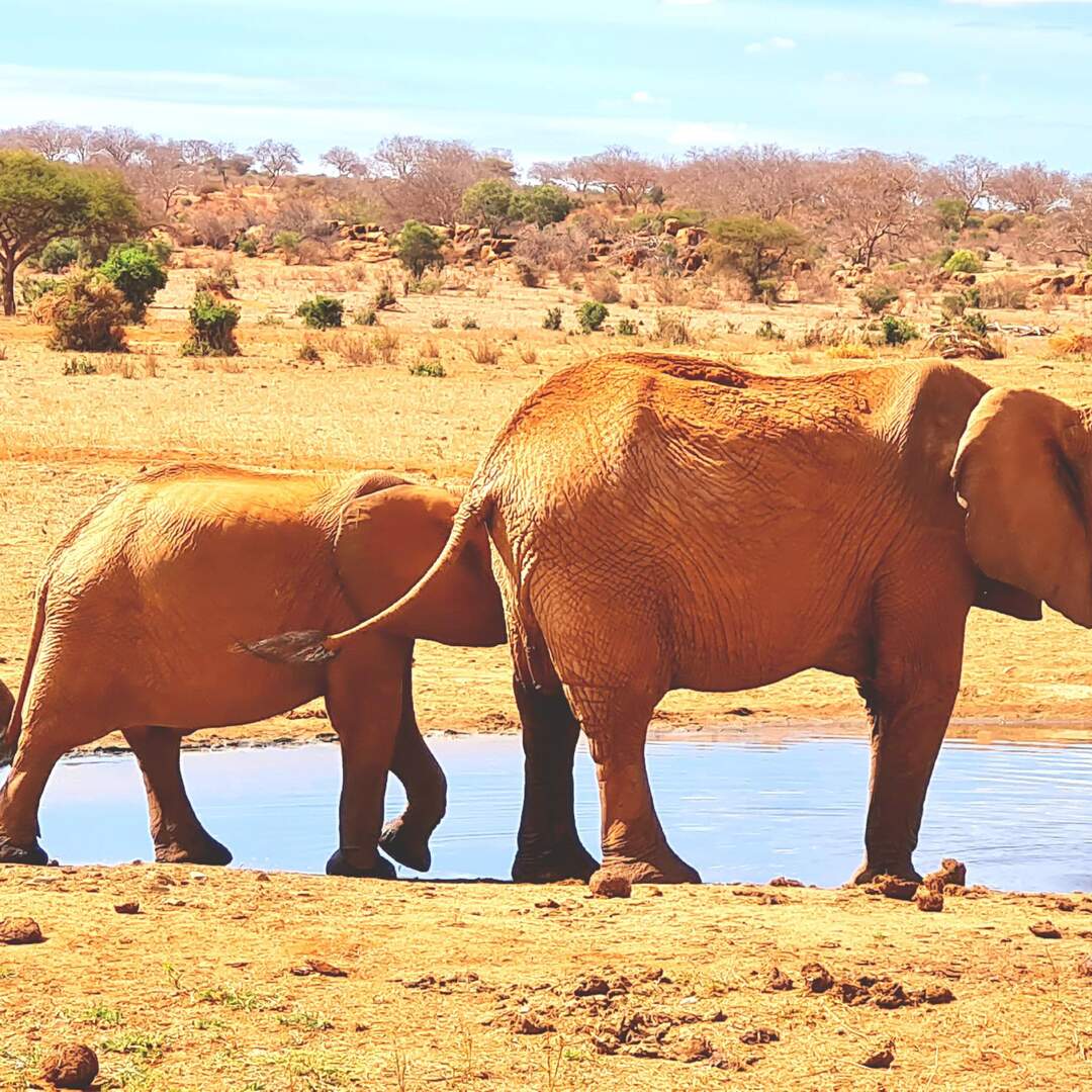 Kenia