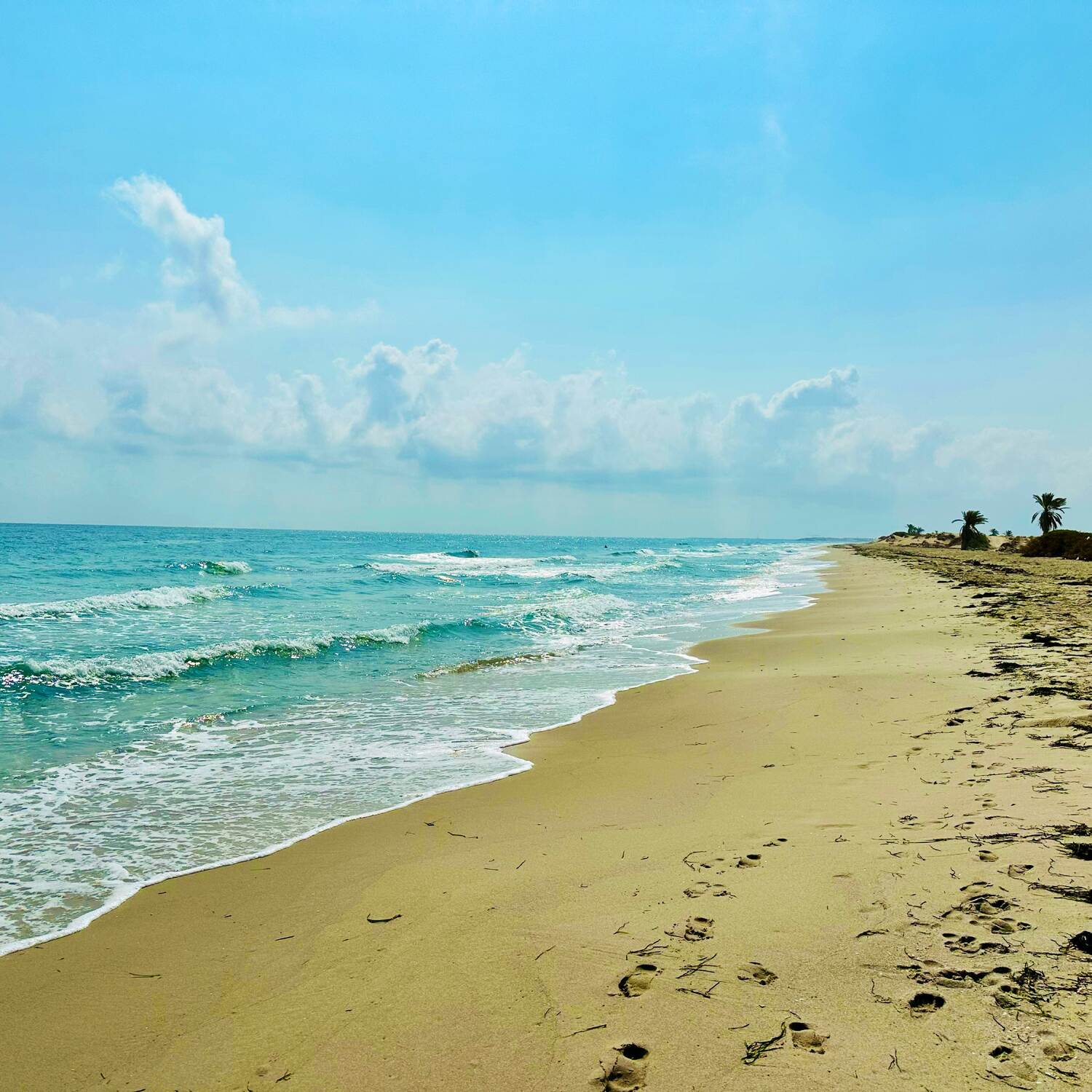Trip to Djerba
