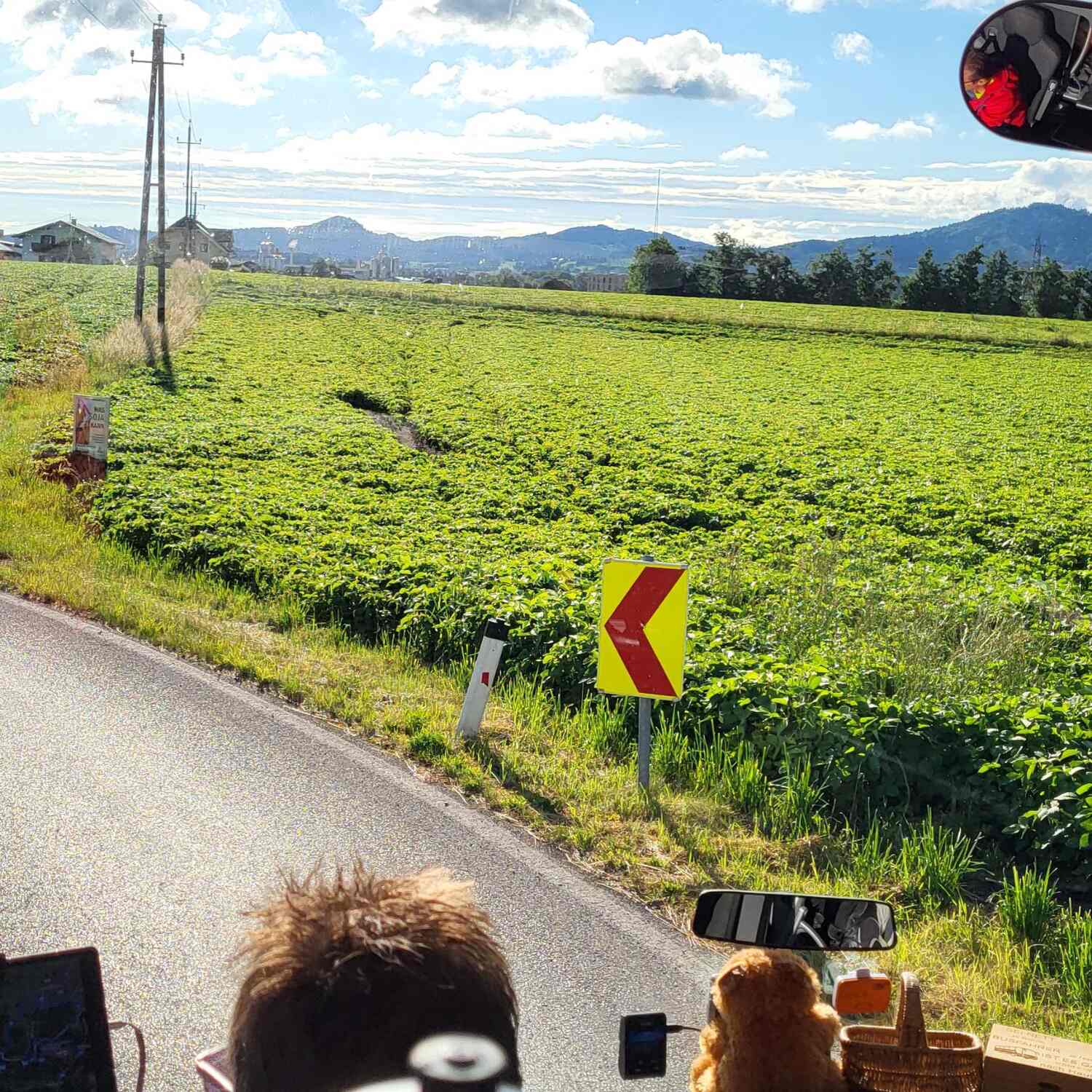 Mondsee- Wallersee-Irrsee