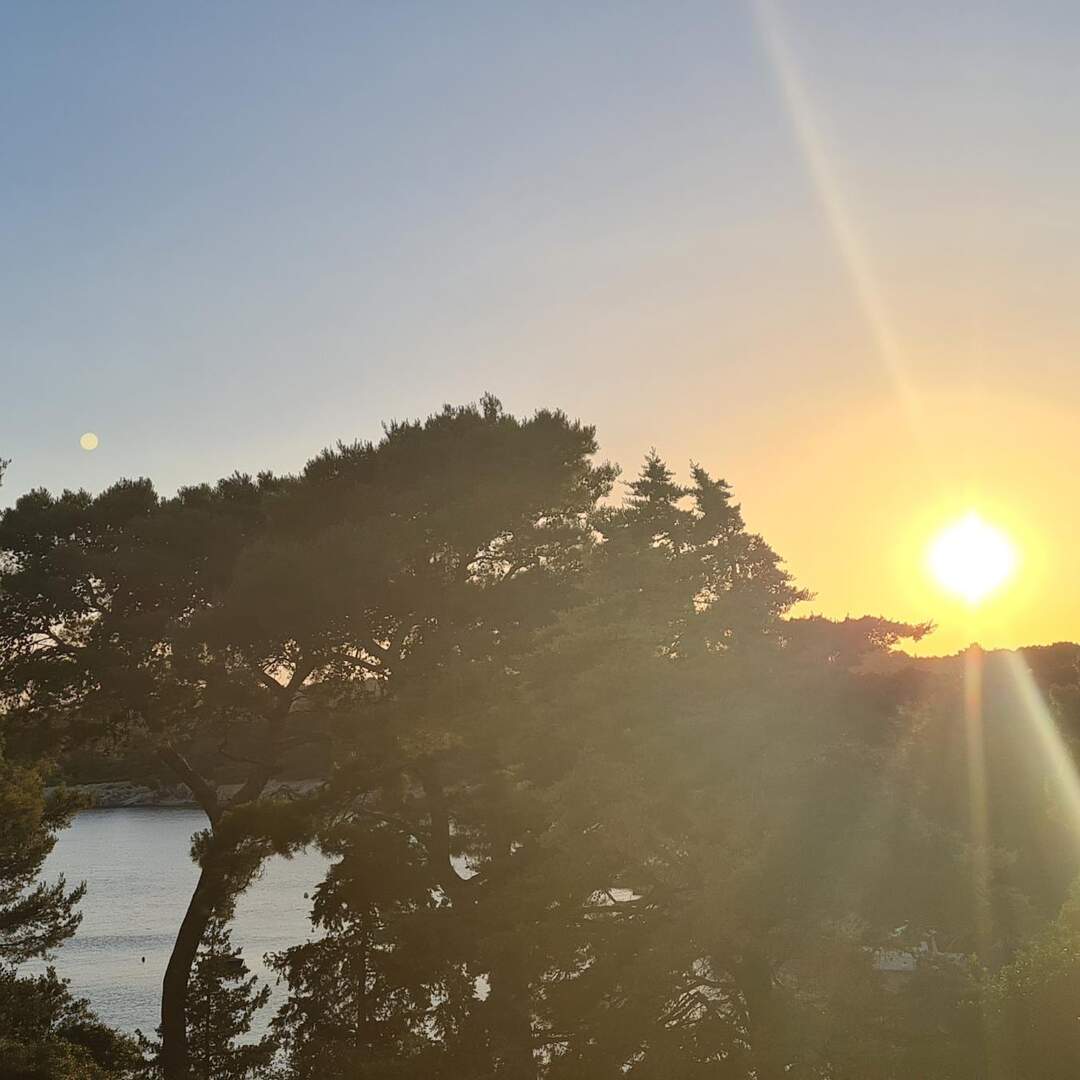 Sommerholiday