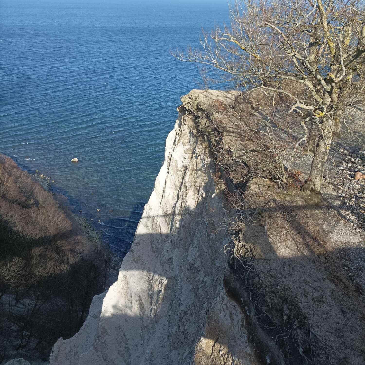 Jasmund Park