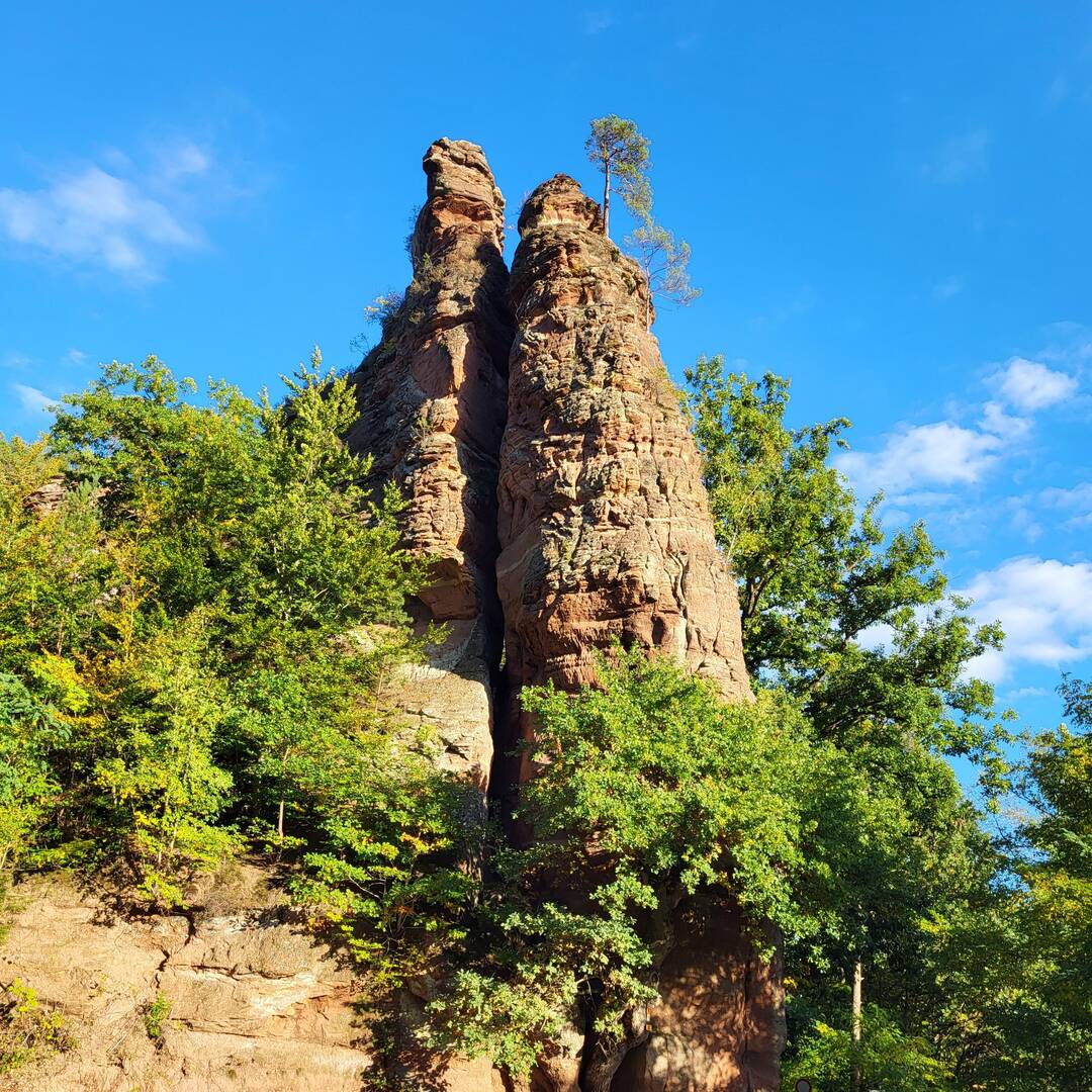 Kurztrip in die Pfalz
