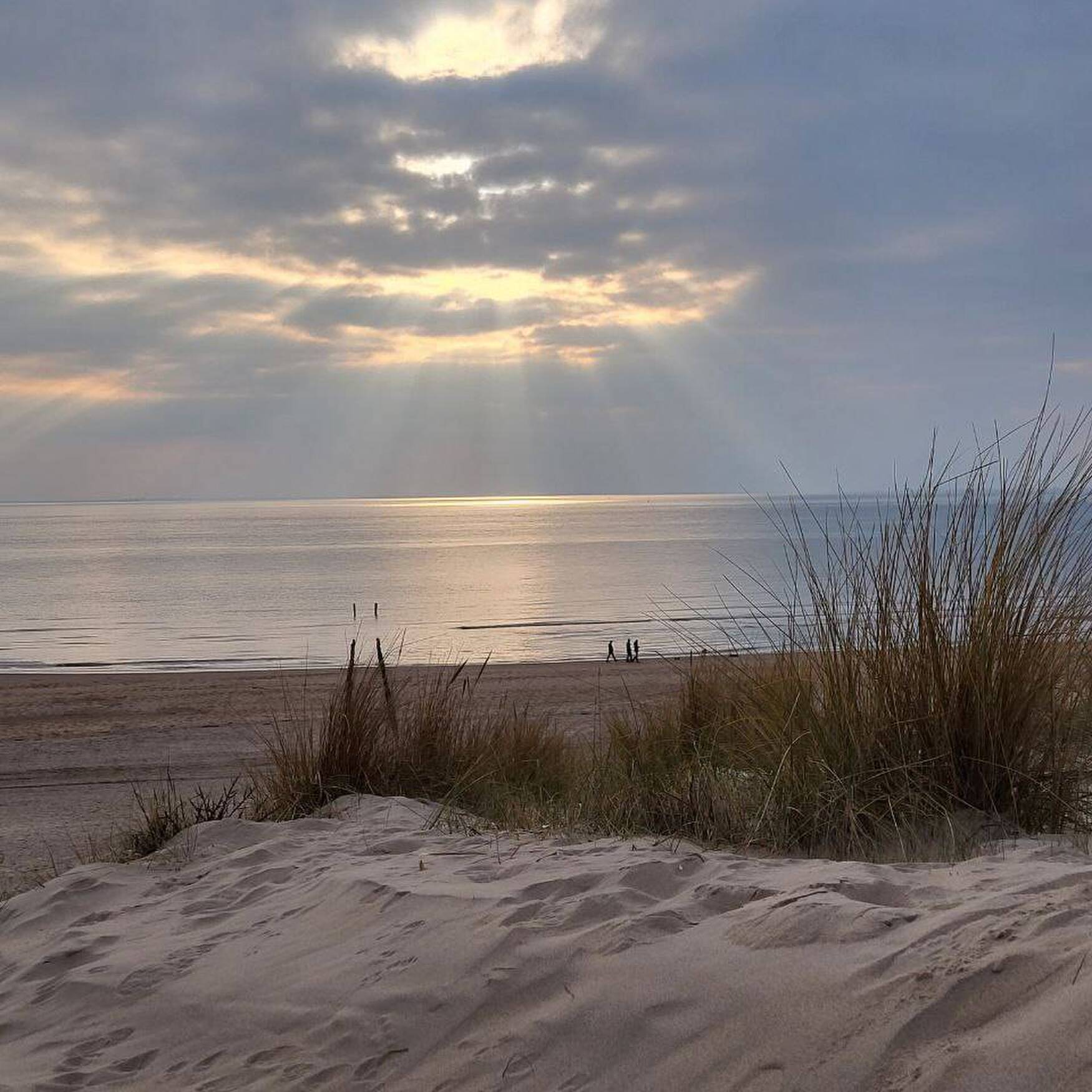 Winterreise nach Zeeland