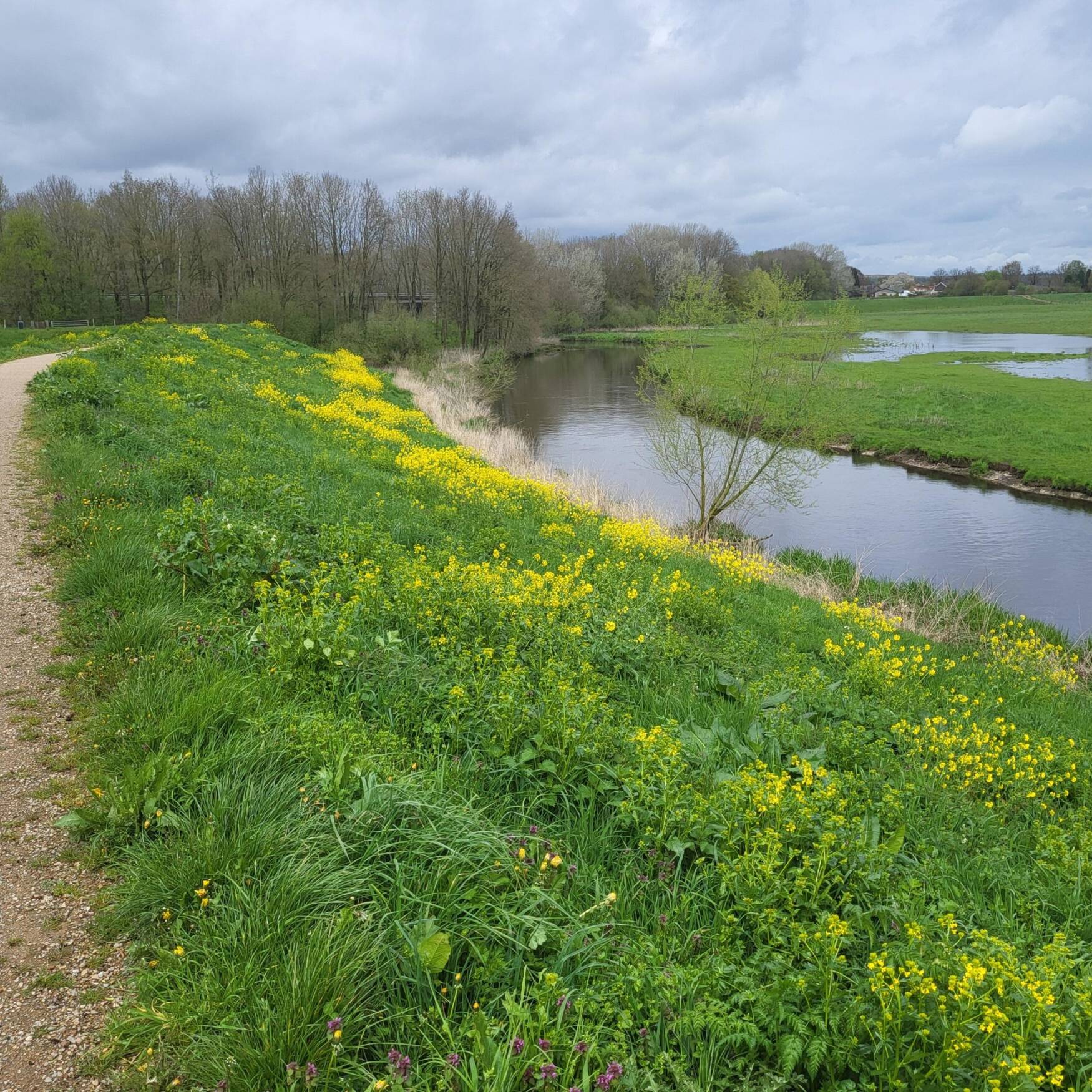 Solotour an den Niederrhein