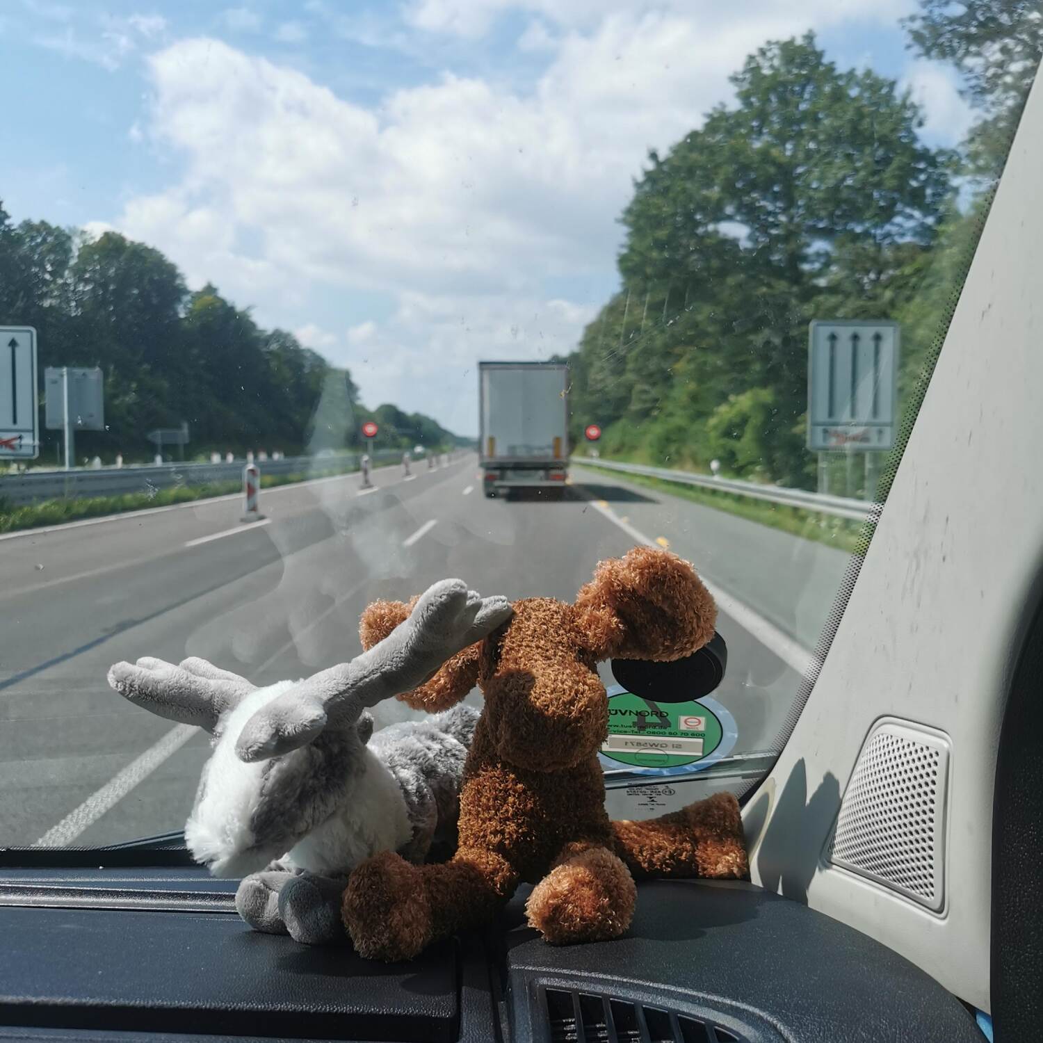 Nordwärts Nordwärts