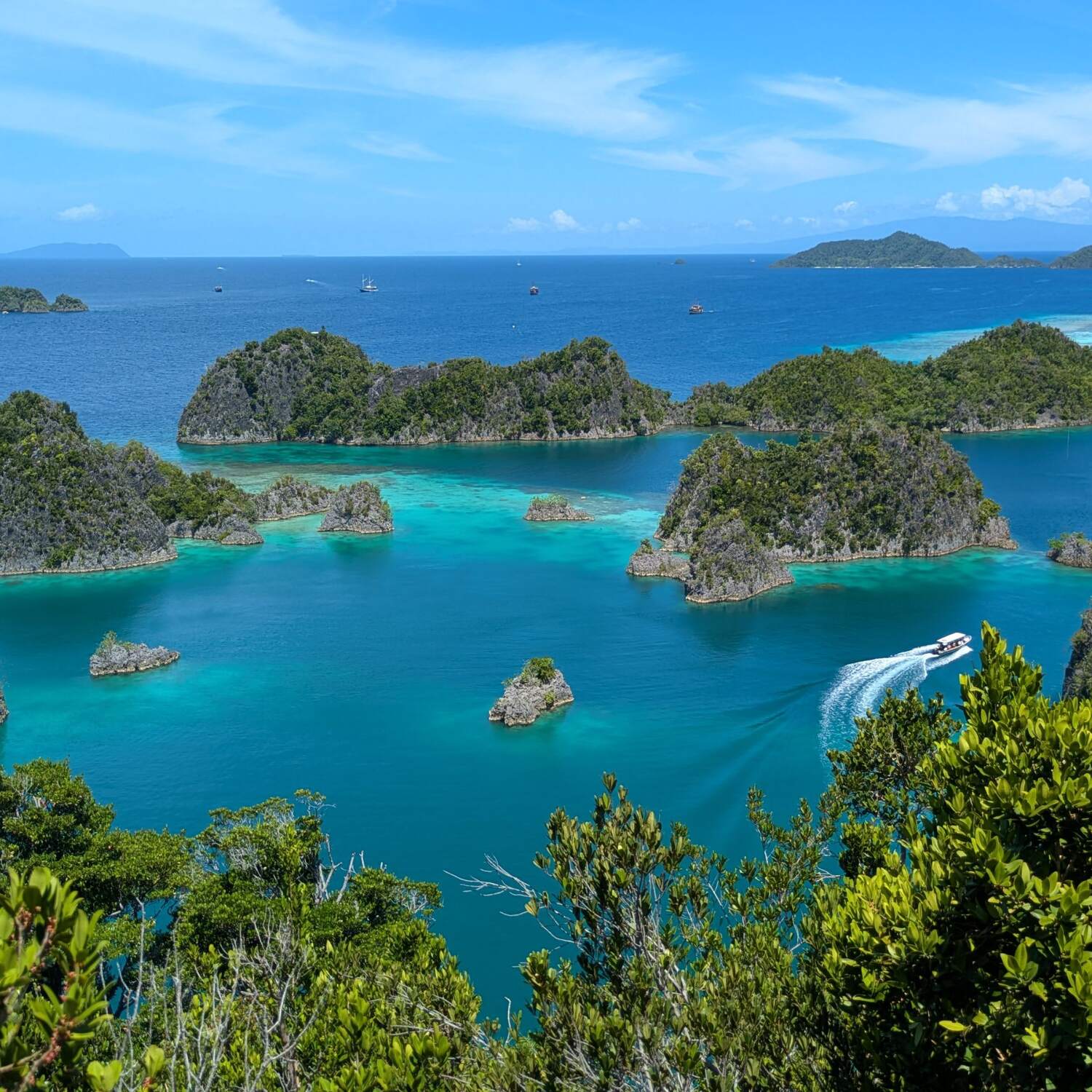 Ins Reich der vier Könige