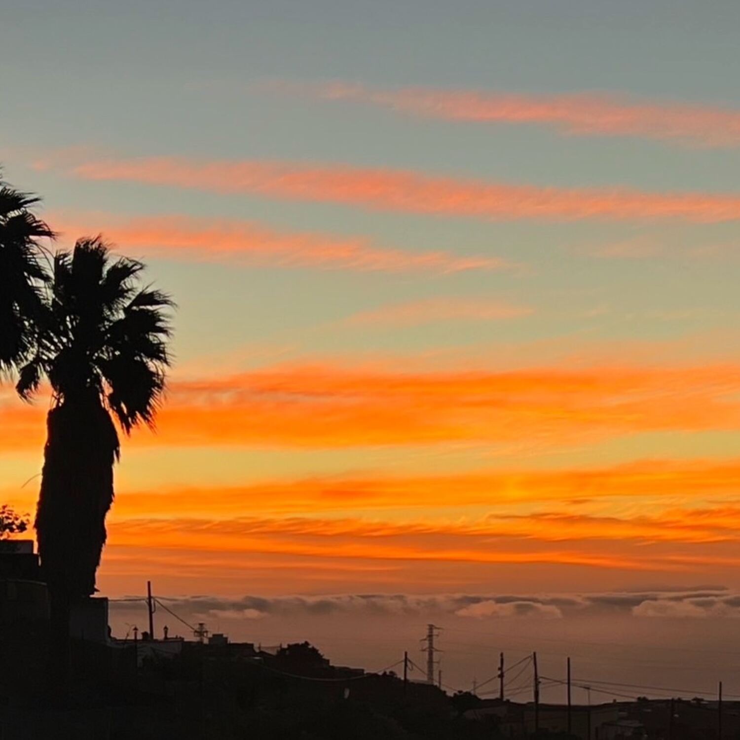 ¡Tenerife, allá vamos!