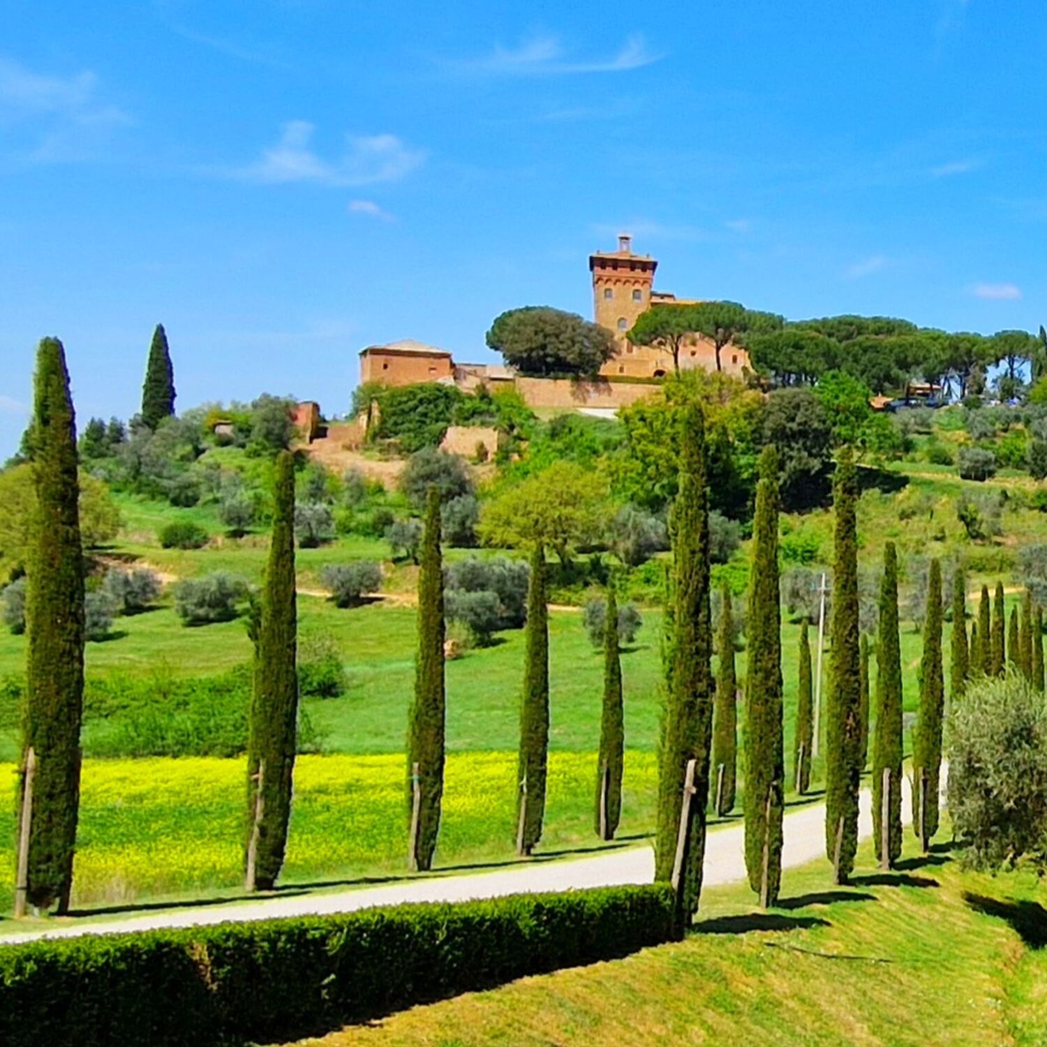 Chianti e sole in Toscana❣️