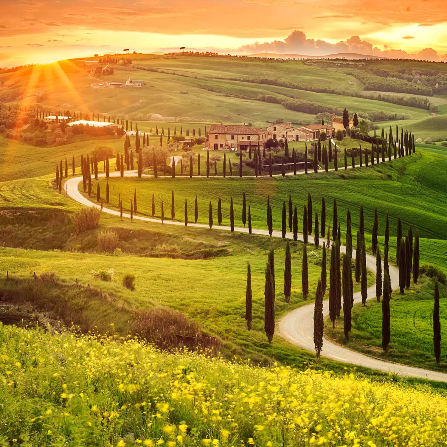 Chianti e sole in Toscana❣️