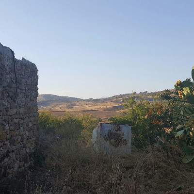 aragona