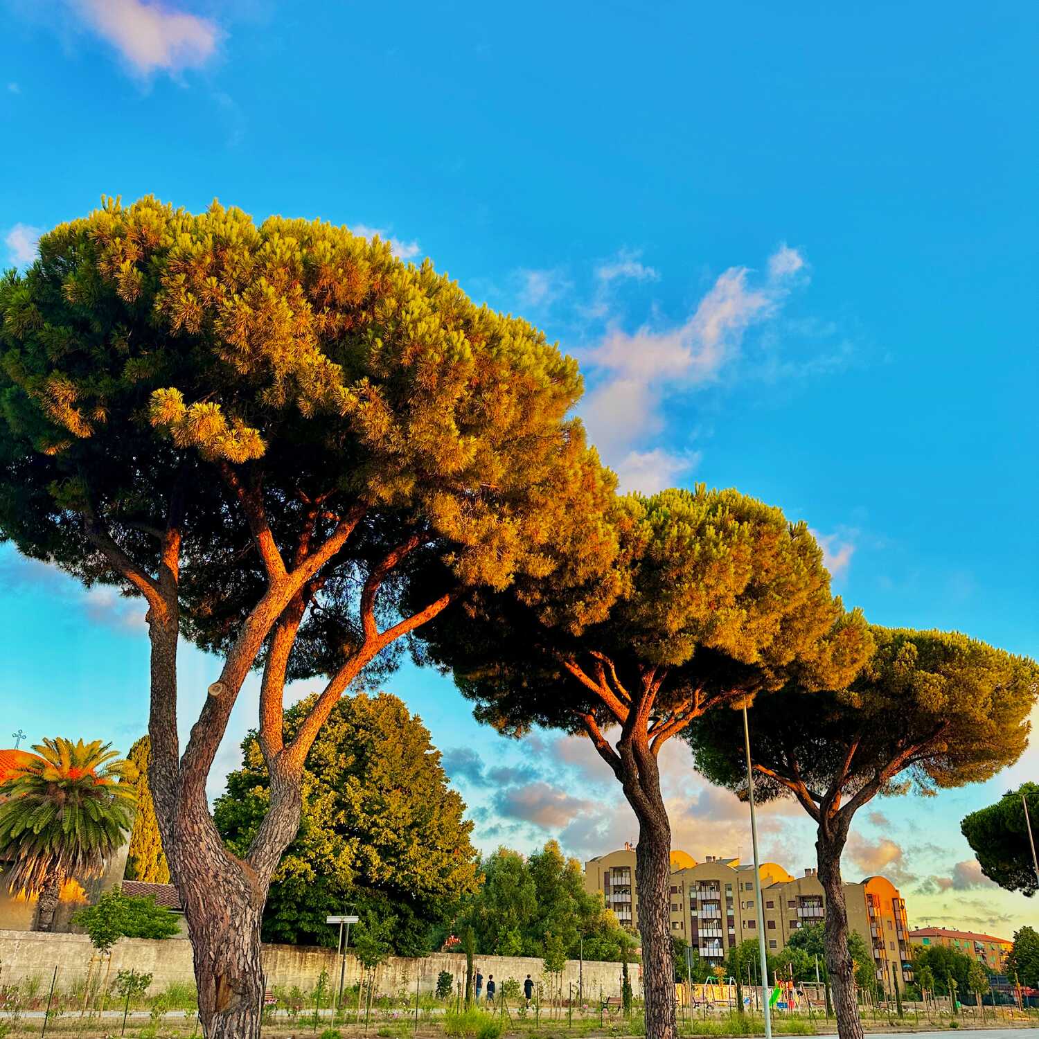 Bella Sardinia