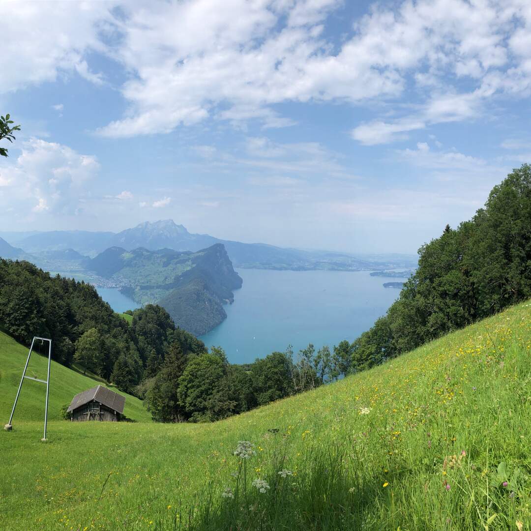 Gersauerstock