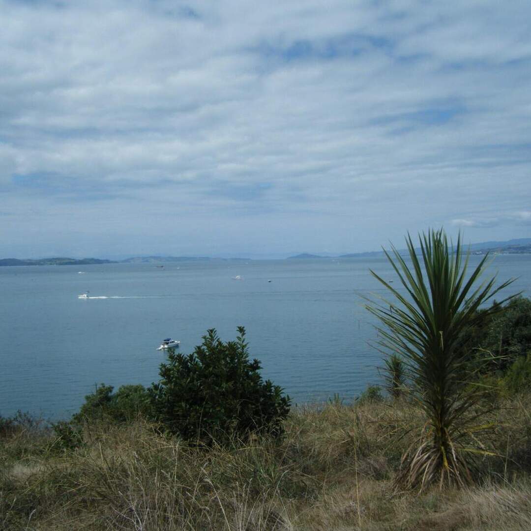 Motuihe Island
