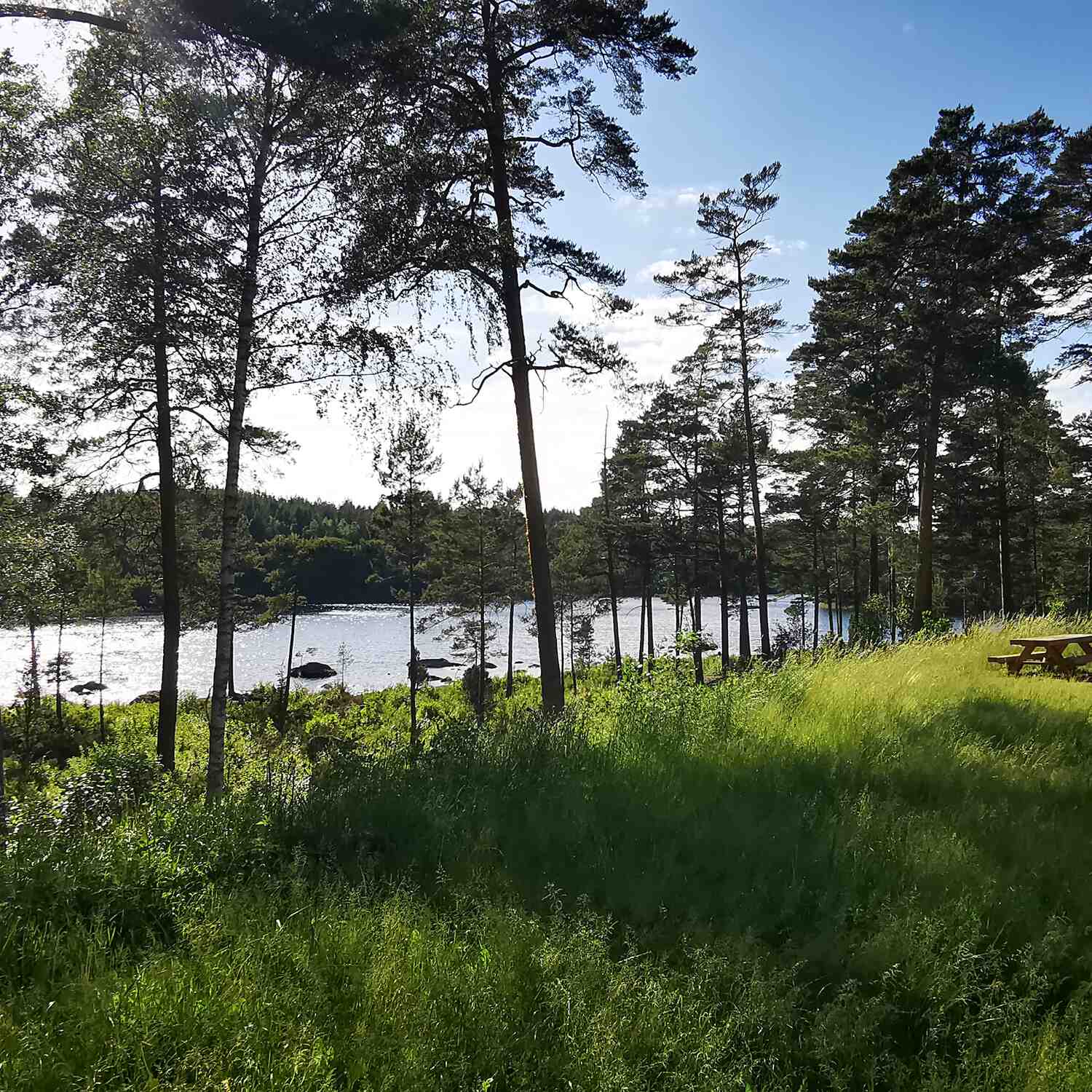 2025 - Schweden und Norwegen