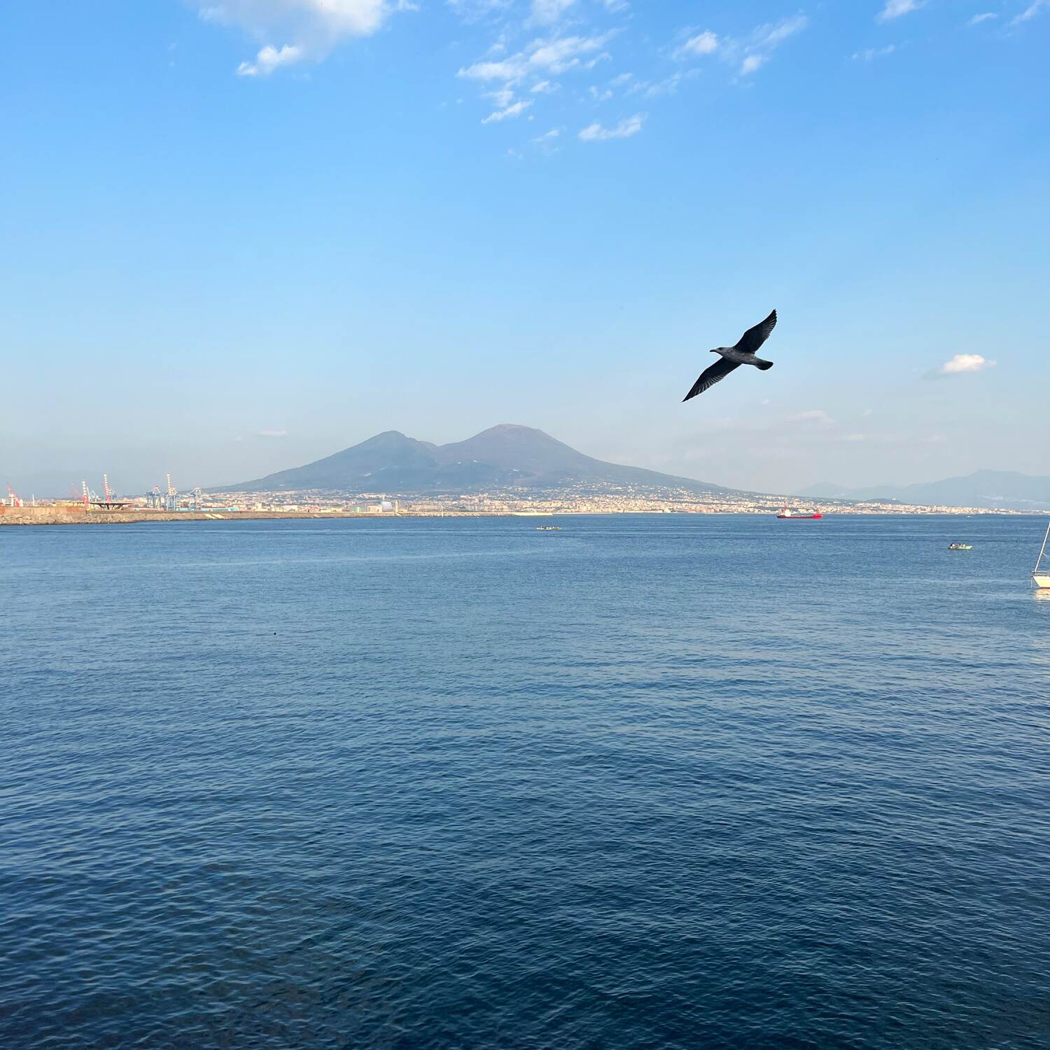 Napoli a passo di corsa
