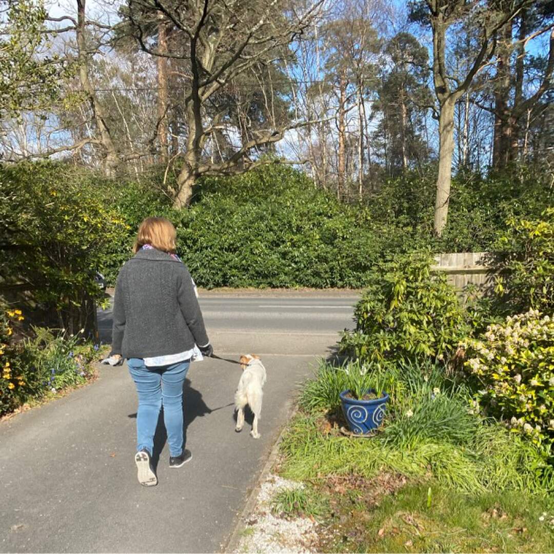 The Covid Way - ancient path