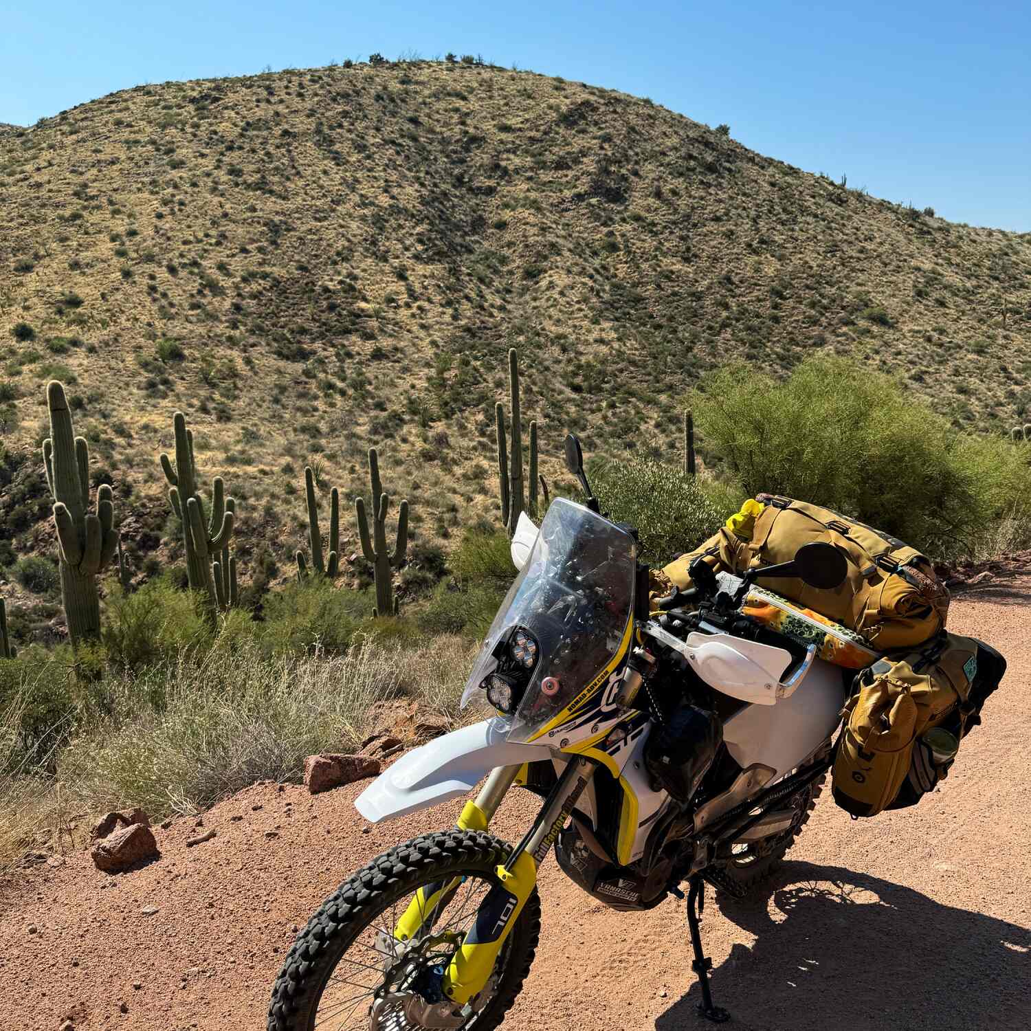 Arizona BDR