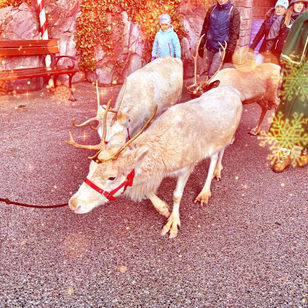 Silvester 2019 im Europa Park
