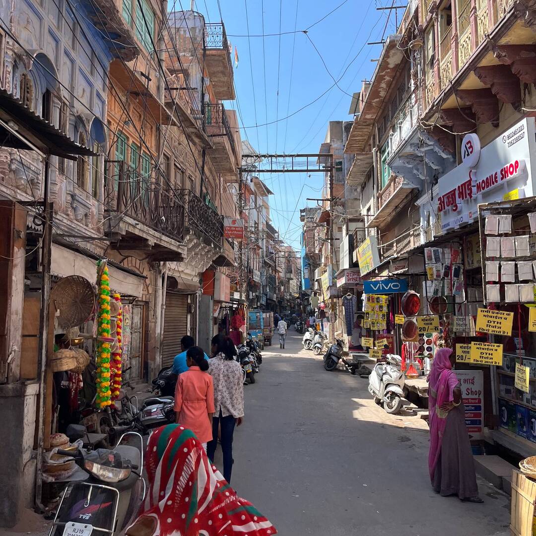 Dwalen door India en Nepal