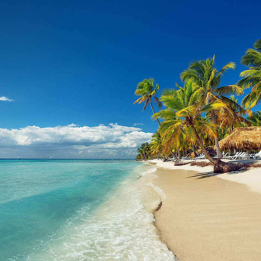 DomRep 2022