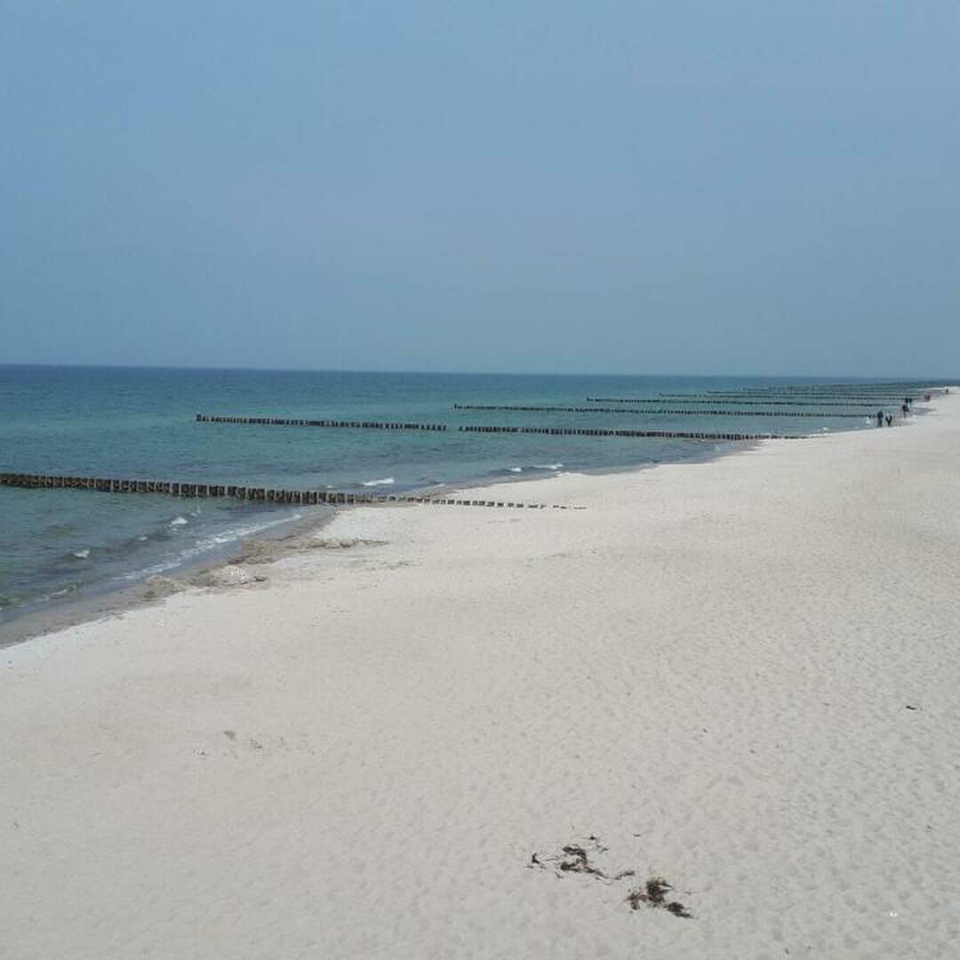 Ostsee, Darss