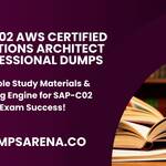 SAP C02 AWS