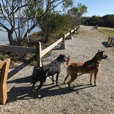 De Soto National Memorial