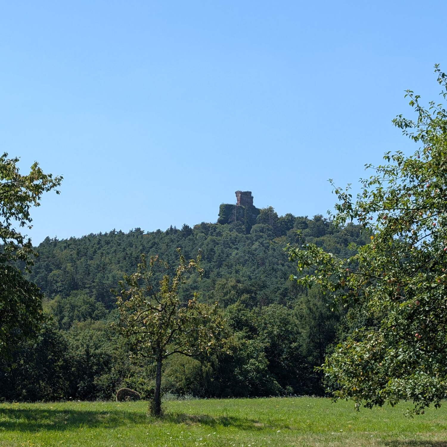 Südpfalz