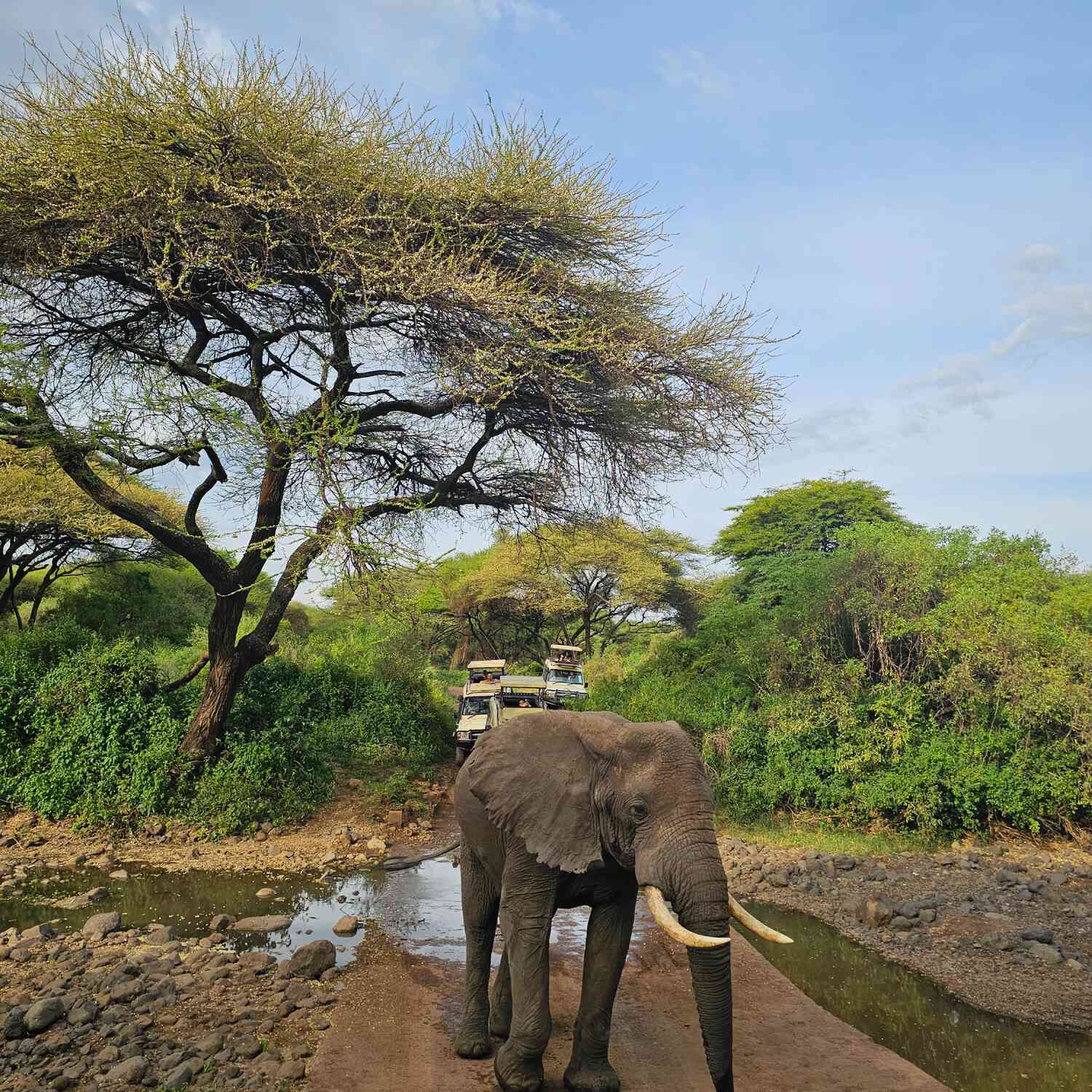 Tanzanie zanzibar
