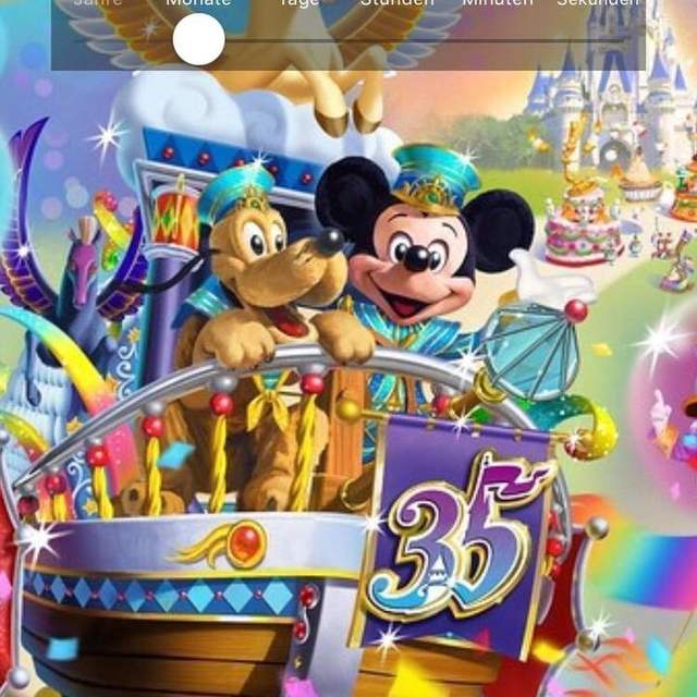 Disneyland Shanghai & Tokyo
