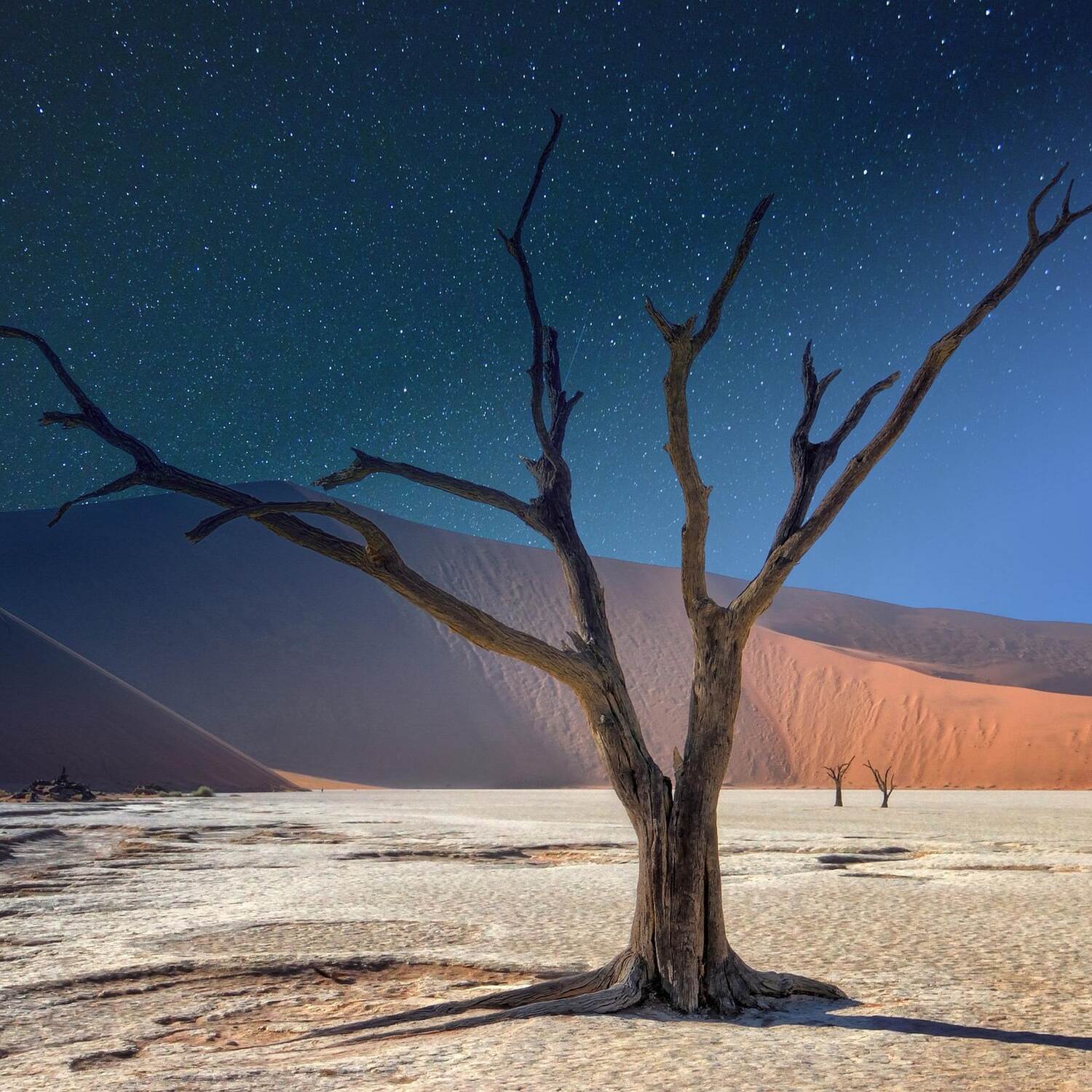 Namibia Teil I