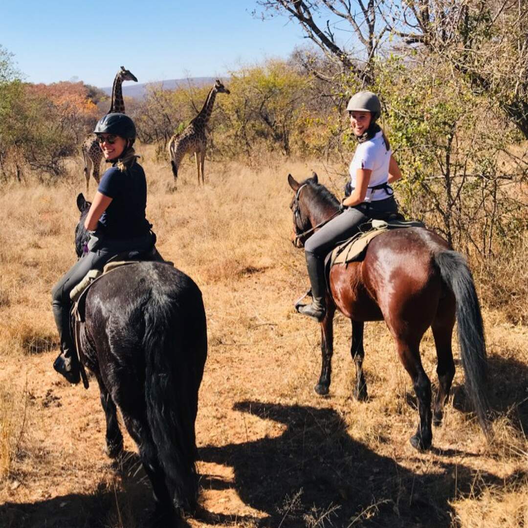 Safari South-Africa & Botswana