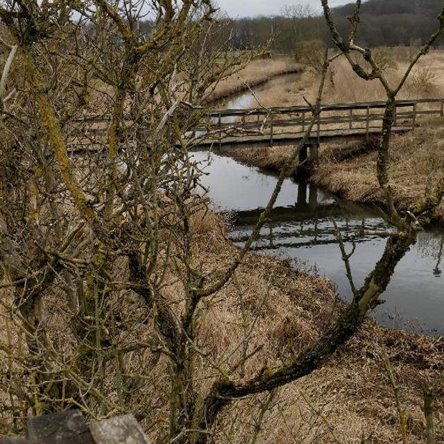 Horsens