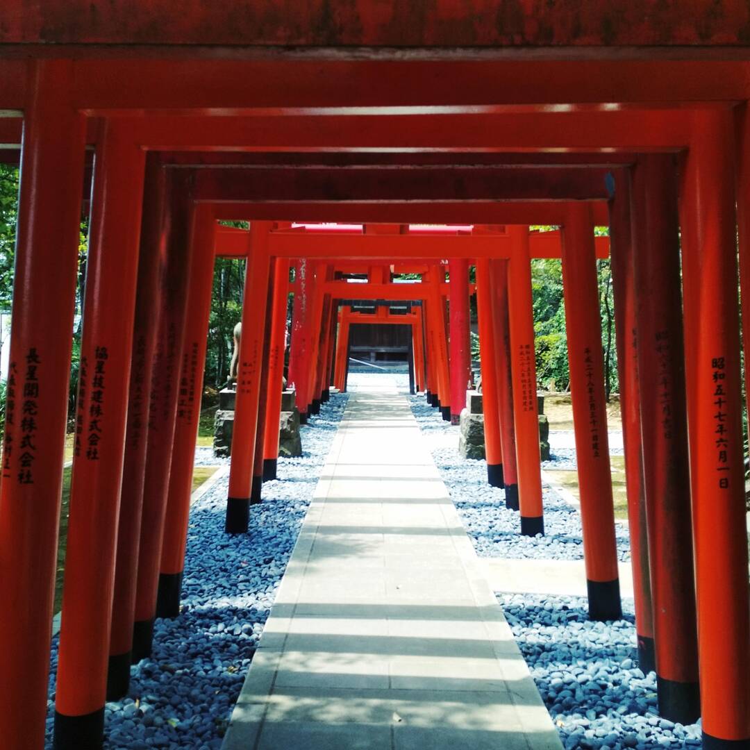 Trip to Asia