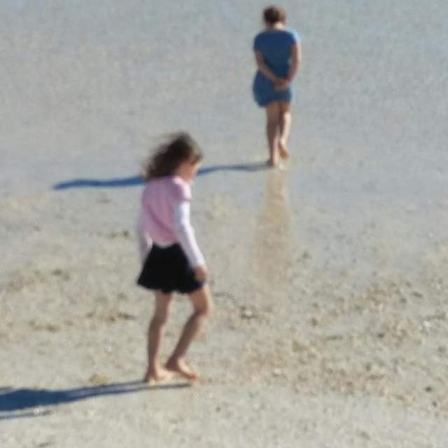 Shell Beach