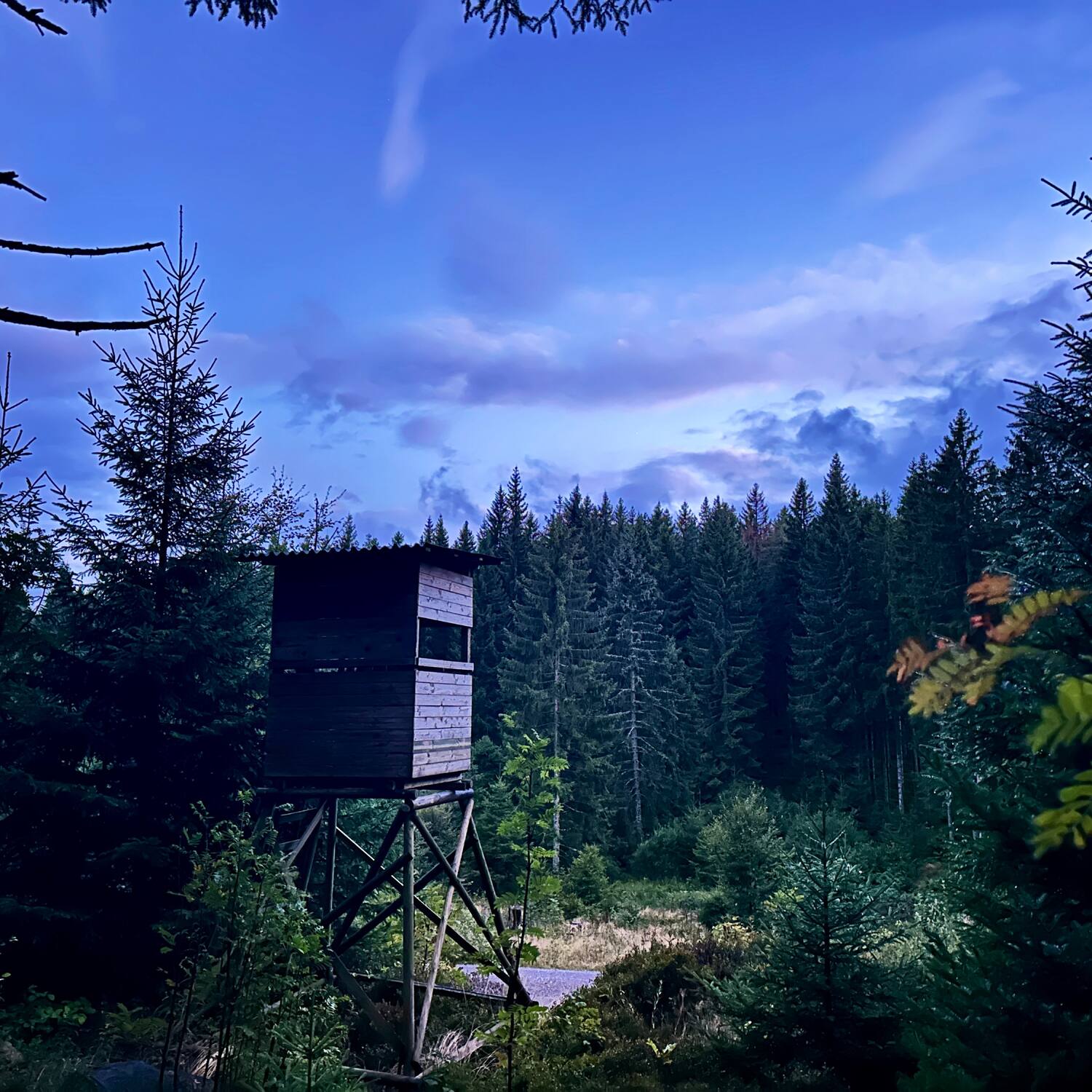Schwarzwald Westweg Trail