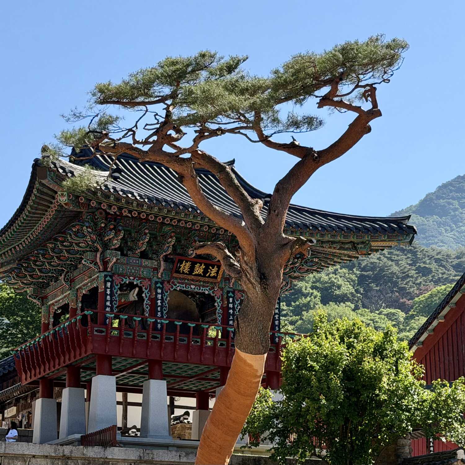 Zuid Korea
