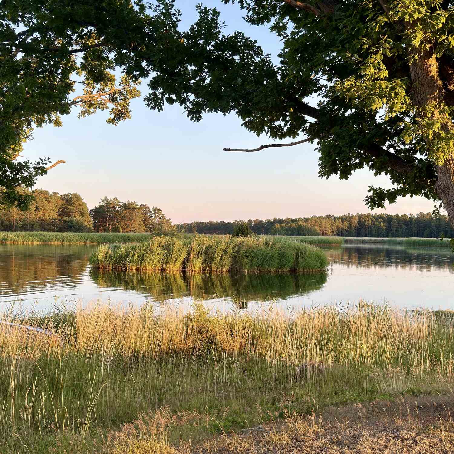Zweden ( Middle & South)