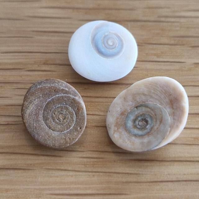 LaSusa