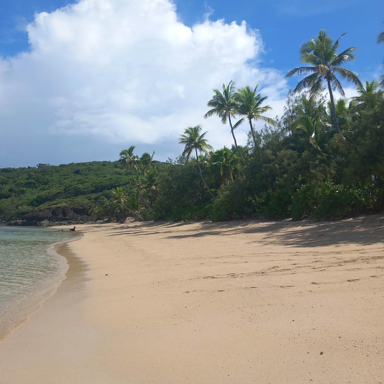 Ozeanien bis Asien 2024