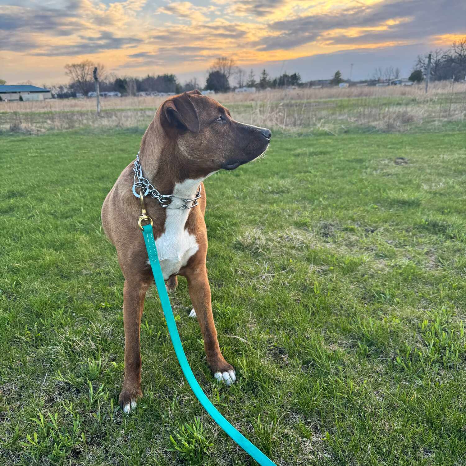 The start of our new life 🥰