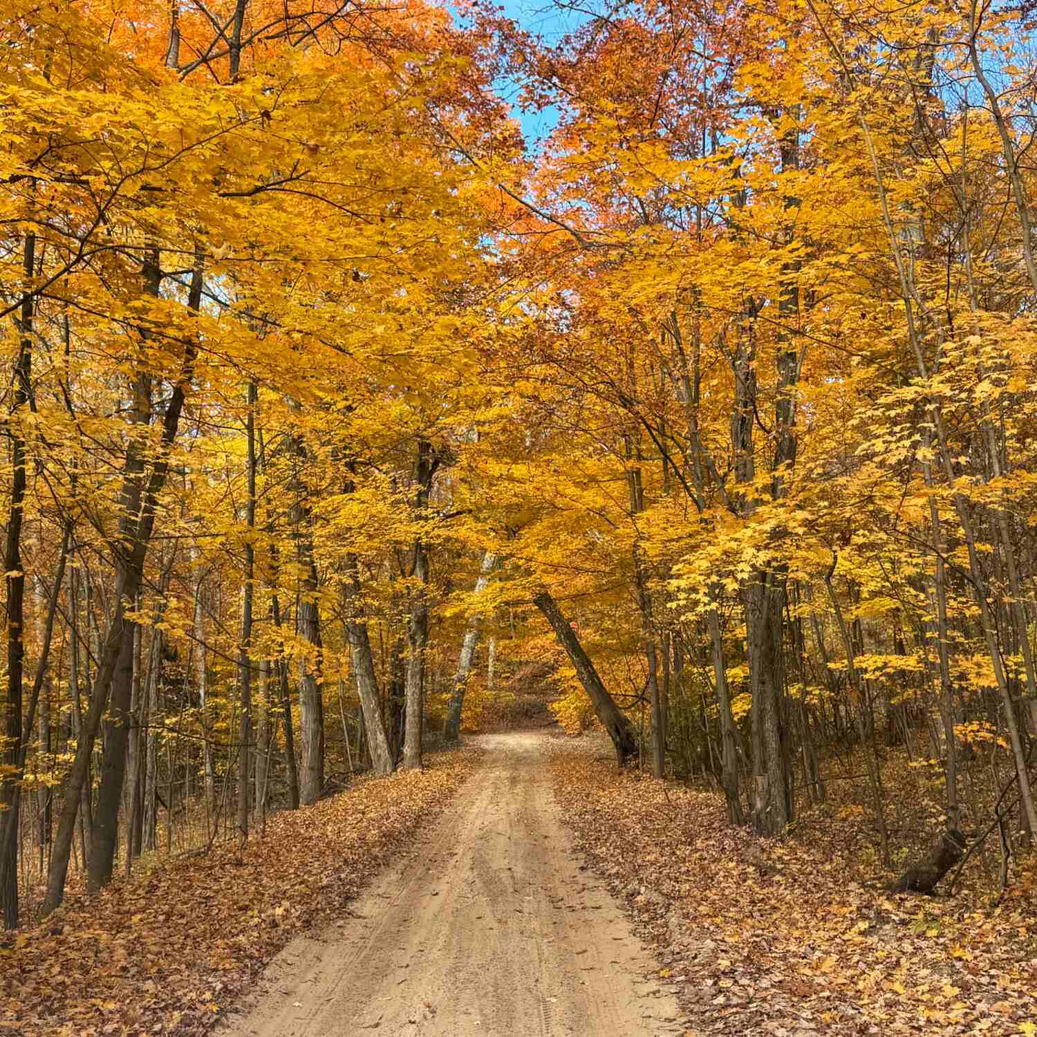 Michigan Road Trip