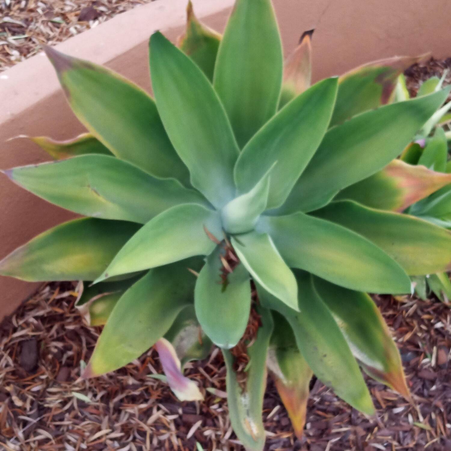 San Diego und Waschingdorf