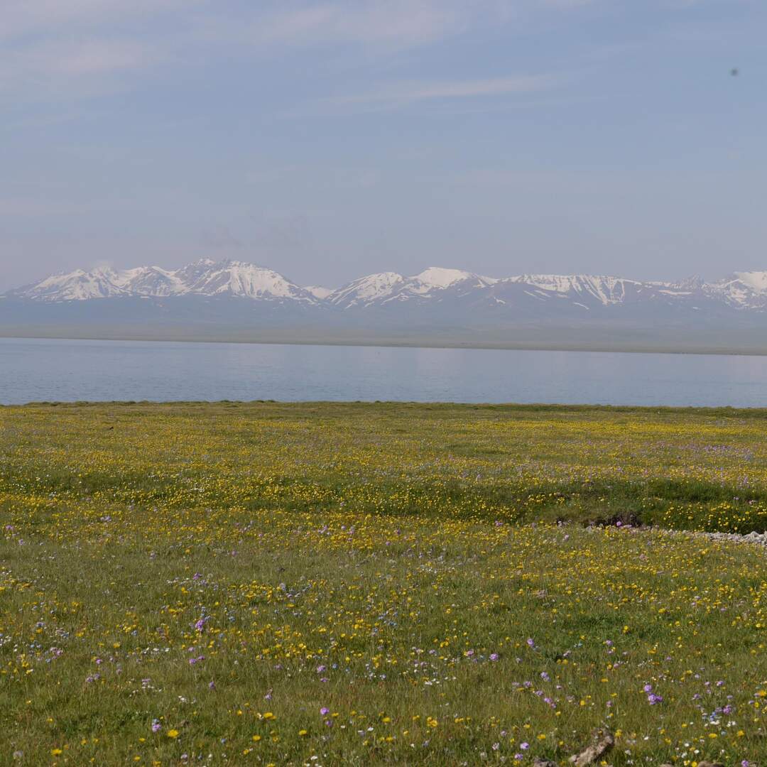 Kirghizistan