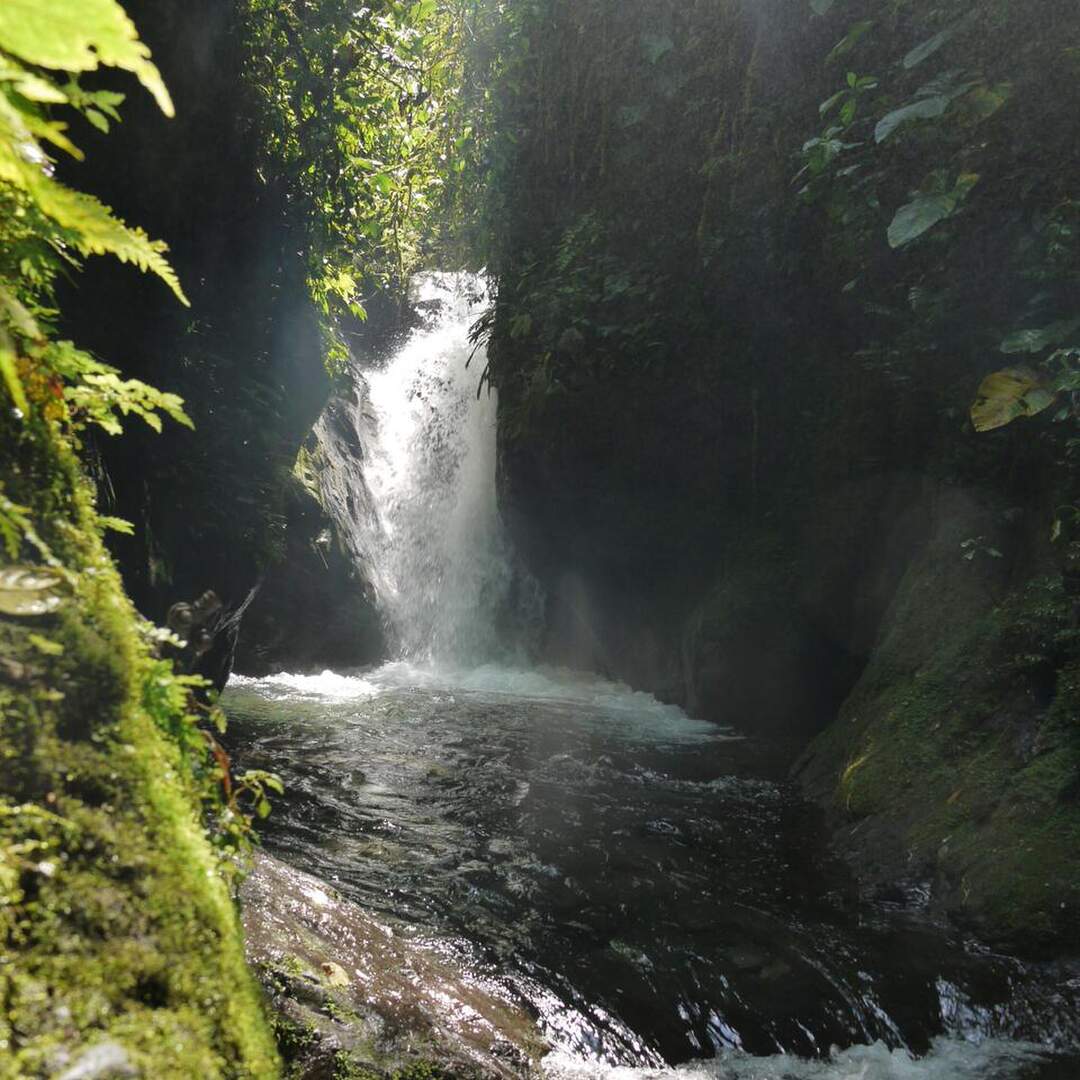 Equateur