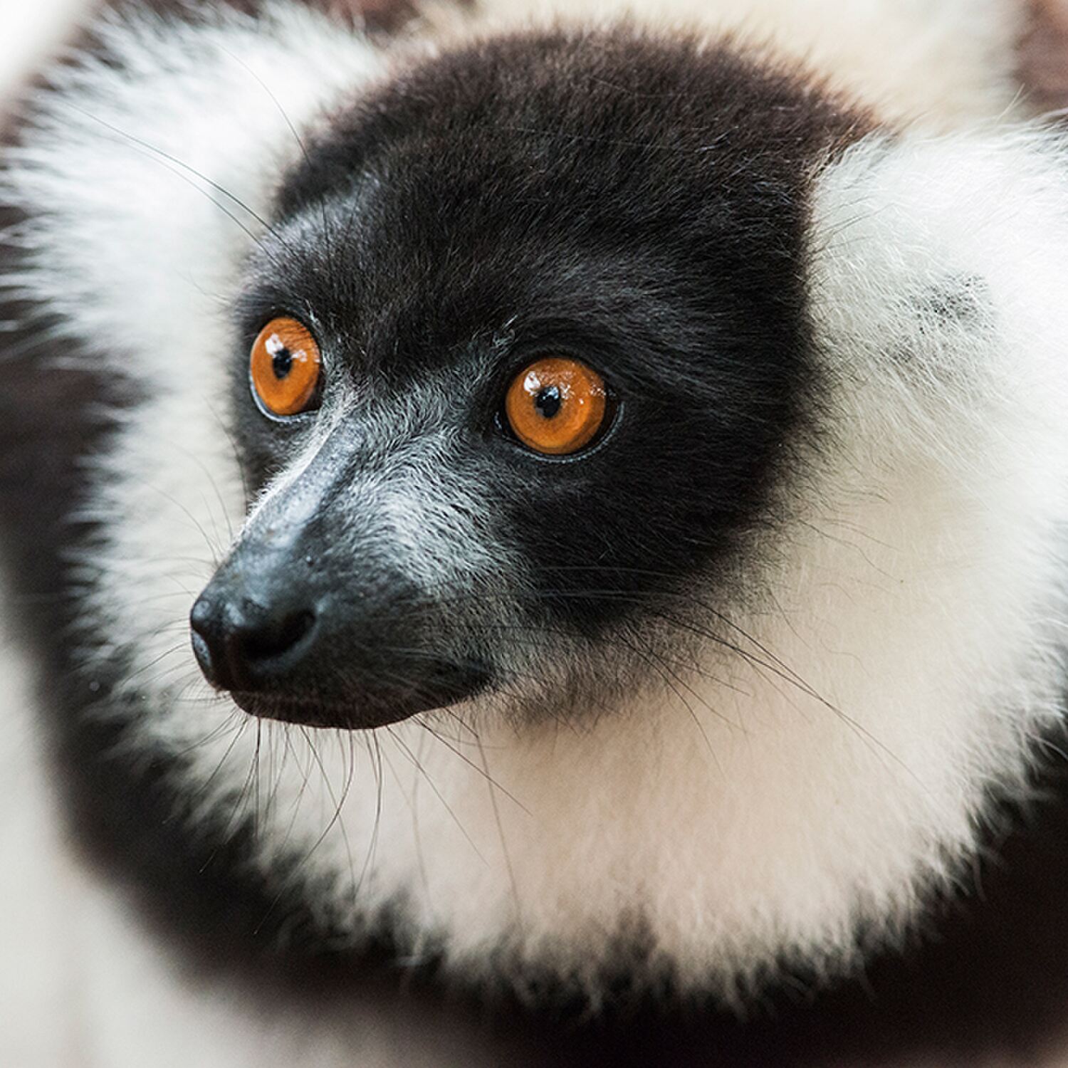 MADAGASKAR: Zeit steht still