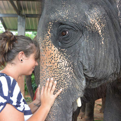 Volunteering Surin